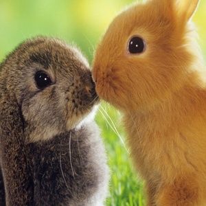 Meet your Posher, Moumita